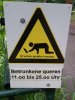 BDDEA9D3BDF635DD91C875D458BFEA92.jpg