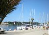 k-(Porec Mai 2010)0184 (2).JPG