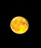 DSC02855-1-Mond.jpg