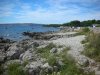 DSCN6938.JPG