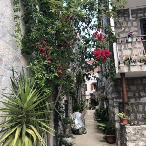Dalmatien: Trogir > Altstadtgassen