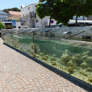 Aquarium in Rogoznica