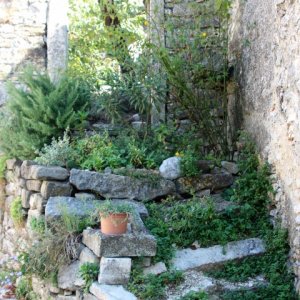 Istrien: PICAN > alte Treppe