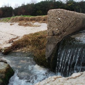 DSCF5480.JPG