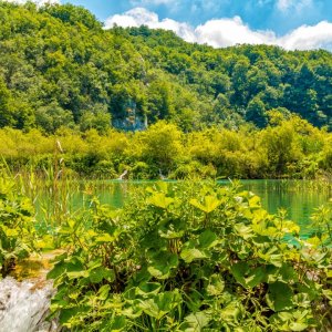 Velebit: Plitvica Selo > Plitvicer Seen
