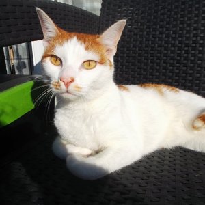 DSCF5596.JPG