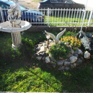 DSCF5593.JPG