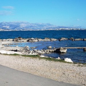 DSCF5655.JPG