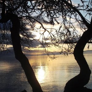 DSCF5669.JPG
