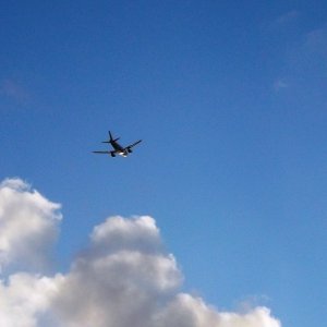 DSCF5675.JPG