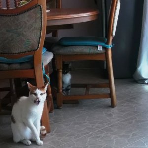 DSCF5724.JPG