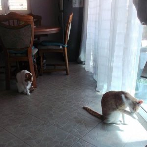DSCF5723.JPG