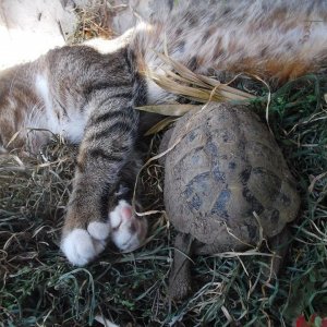 DSCF5766.JPG
