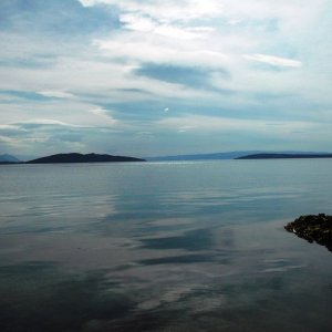 DSCF5775.JPG