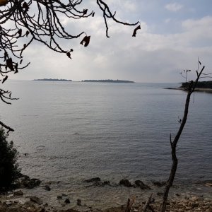ISTRIEN: Insel Brijuni: Ausblick auf die Nachbarinseln