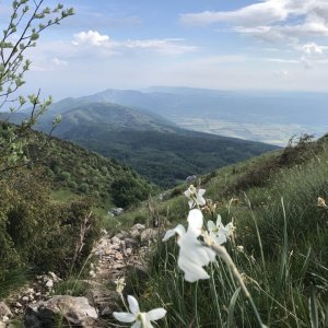 Istrien: VOJAK > Gipfel > Sisol