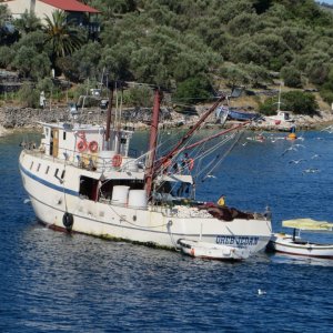 Dalmatien: VELA LUKA > Fischerboot