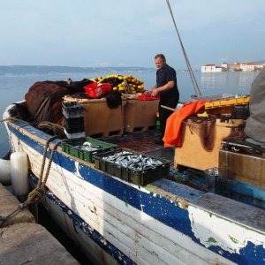 Kastela