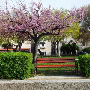 Kastela