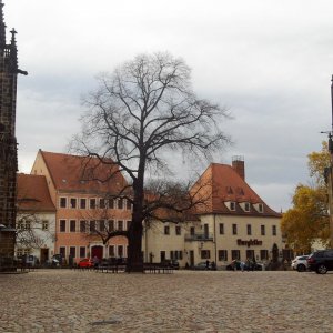 12 Meissen Domplatz.JPG