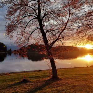 Sonnenuntergang am Illasbergsee/Ostallgäu