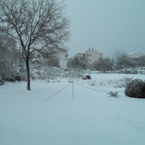 winter1.JPG